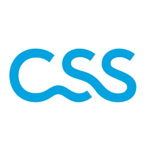 CSS - Agentur Sion