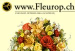 Hertig Fleurs